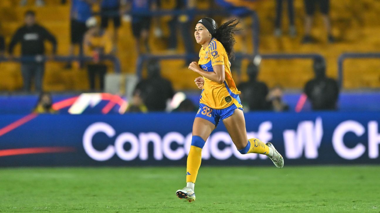 fermierul-iese-din-tigres-din-cauza-hartuirii,-se-alatura-stars